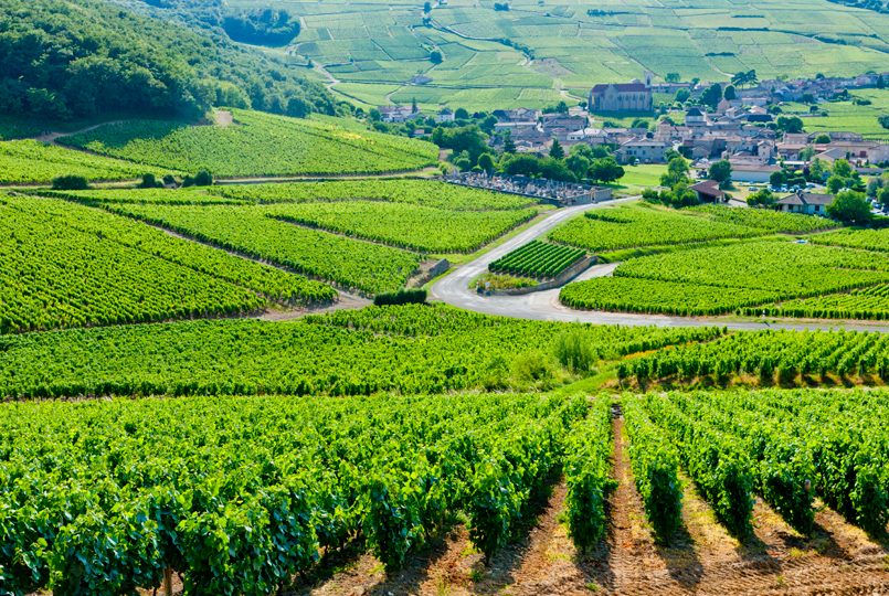 Beaujolais (visit Oenoparc)