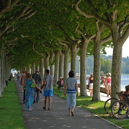 cropped-Esplanade-du-lac_full_image.jpg