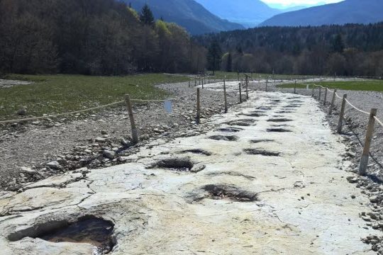 Grottes du Cerdon + Dinoplagne (piste de dinosaures de Plagne)